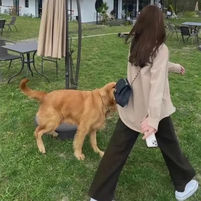 艺术系女生